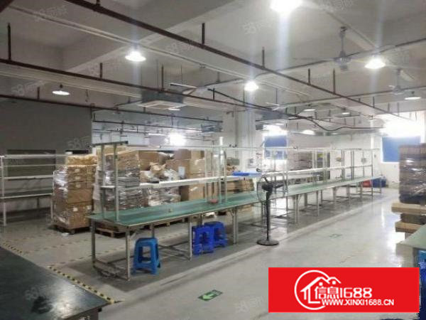 沙井新桥新出楼上850平方带装修无装让费