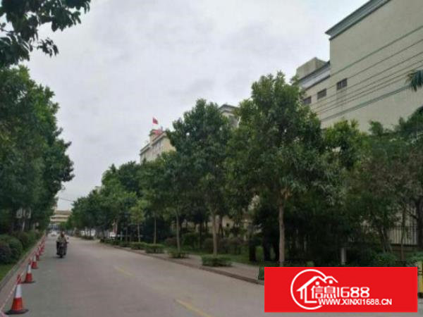 可做生物医疗一一坑梓金典独院厂房2450平方招商