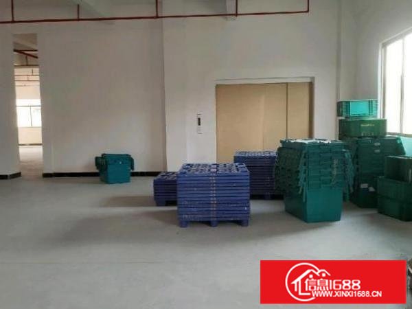 原房东标准楼层厂房(可分租)