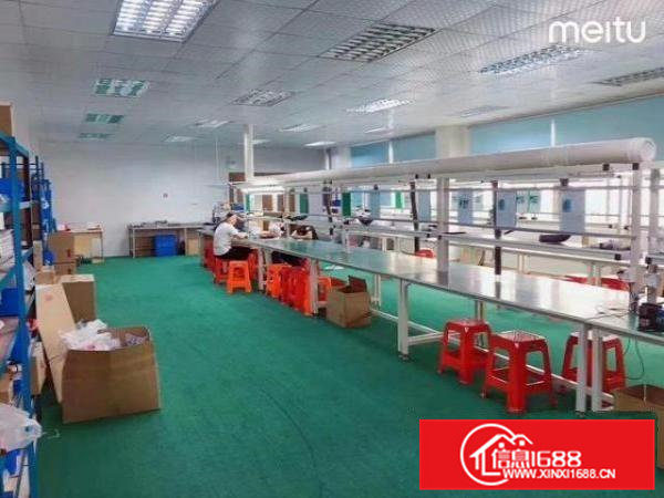 精装修！大宁附近楼上780平精装修厂房出租