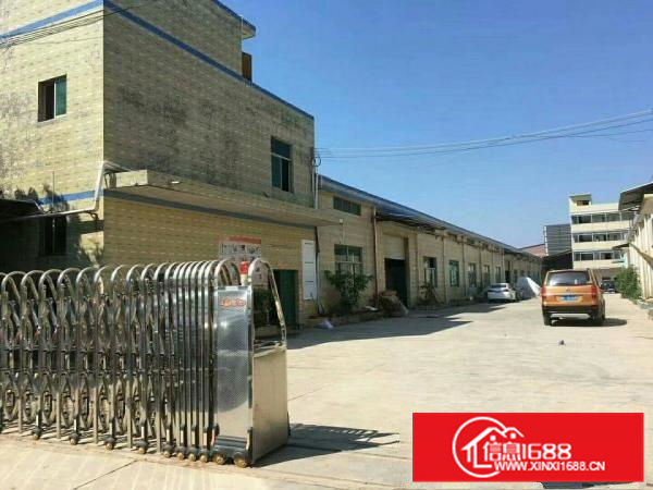 秋长一楼厂4500平米出租