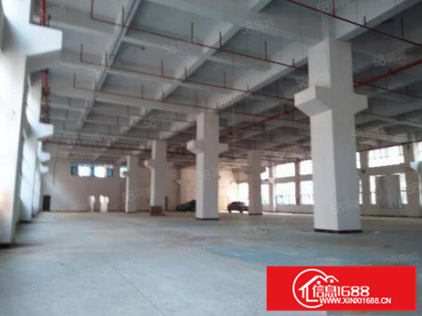 凤岗镇官井头全新一楼3200平厂房出租高度8米带牛角消防喷淋