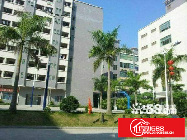 坂田龙壁工业区新出2楼1800平带装修招租