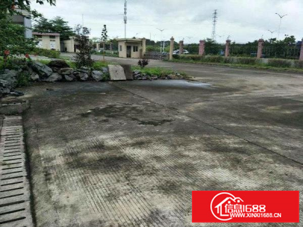 免中介费坪山石井空置1楼450平米标准厂房出租