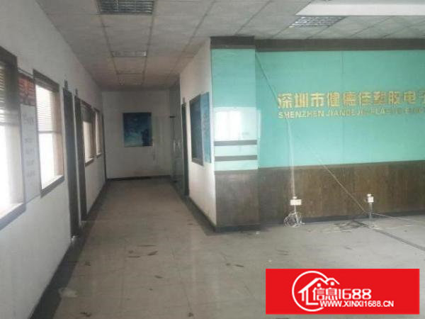 业主直租面积2500平米（有红本）