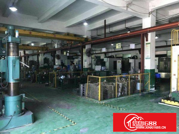 北滘乐从全新标准一楼厂房900平带有行车现成办公