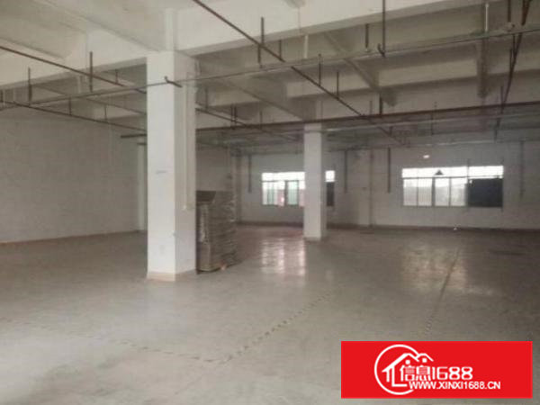 清溪大利村新出原房东标准厂房一楼800平米出租形象好