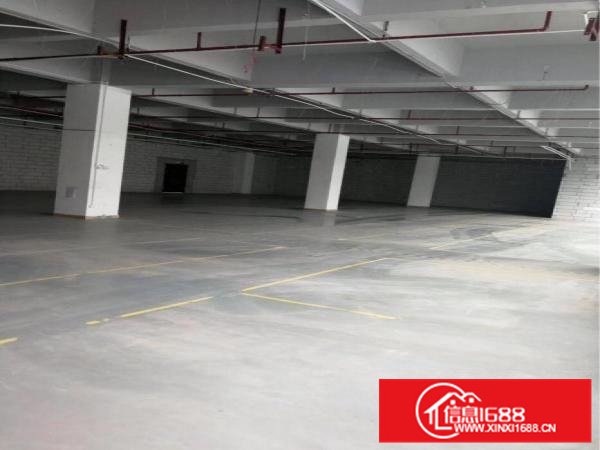 新墟3650平标准厂房，带精装修，可分租