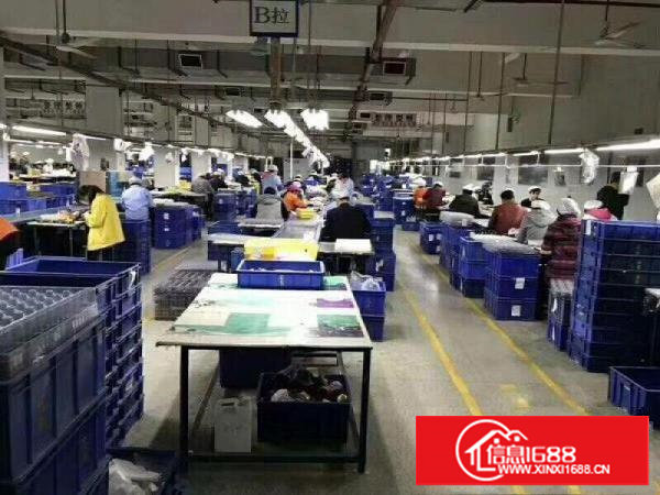 东莞塘厦蛟乙塘沙湖独院标准厂房办公楼装修洁净车间