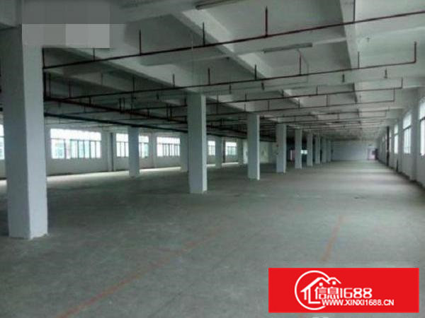 东莞石排新岀独院标准厂房2500平方出租带喷淋消防