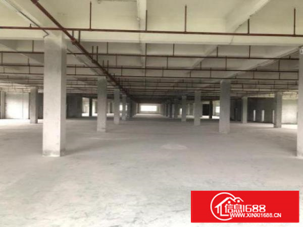 万江工业区标准厂房1500平方出租、可分租形象好上环城路近