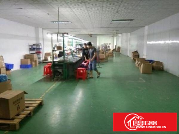 塘尾二楼带装修厂500平出租