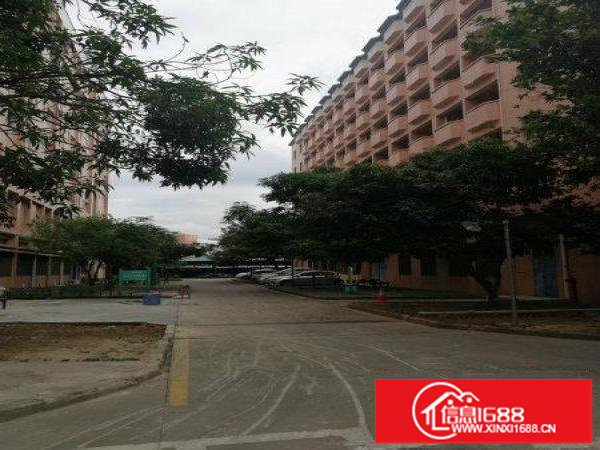 丹竹头重工厂房每平承重1.5T每层6800平分租