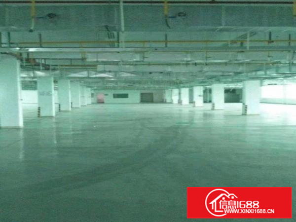 花园式独院厂房一楼400平米招租