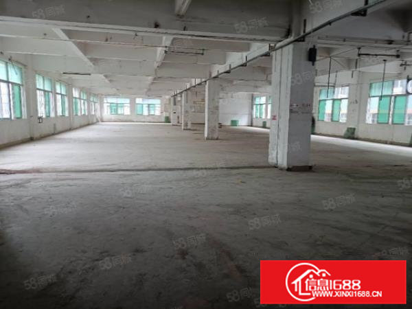 （可办环评）大岭山镇大塘1000平独院厂房出租，办公室精装修