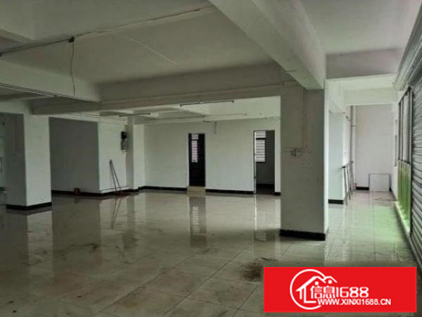 龙岗全新500平厂房出租豪华装修水电齐全带电梯