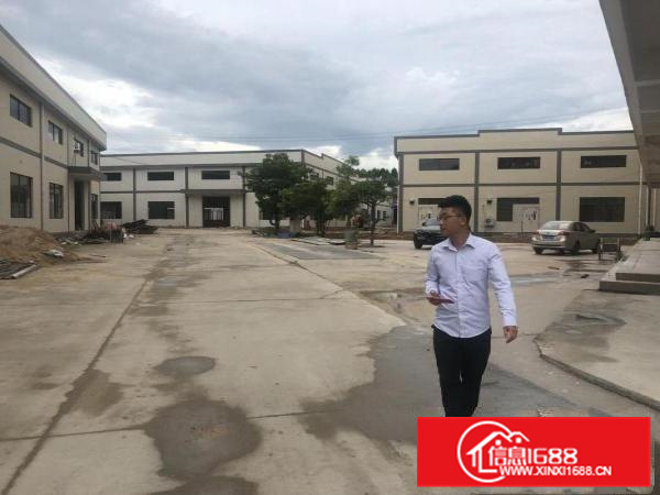 惠东白花全新滴水8.5米钢构16600平米不挑行业大小分租