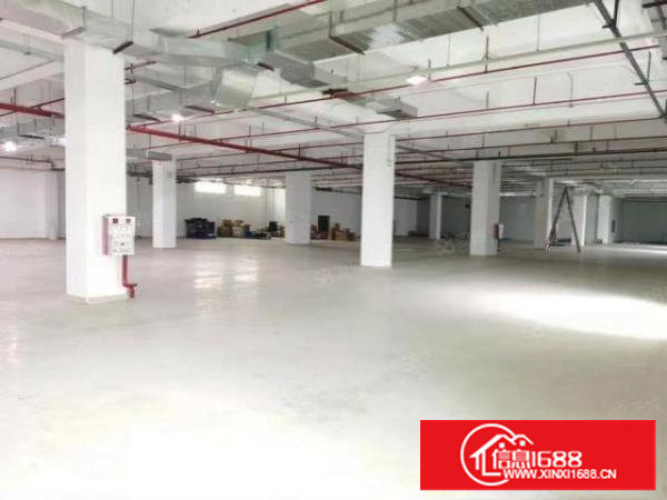 长安镇现有豪华精装修厂房出租1800平水电齐全，现场照片拍摄