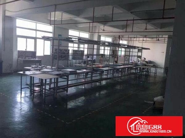 坪地附近新出标准厂房1230平方超低格出租面积大小可分租