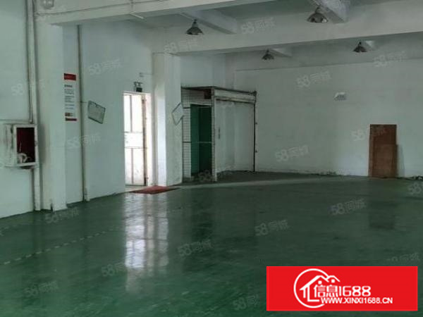 石碣新出原房东厂房二楼3000方，价格实惠