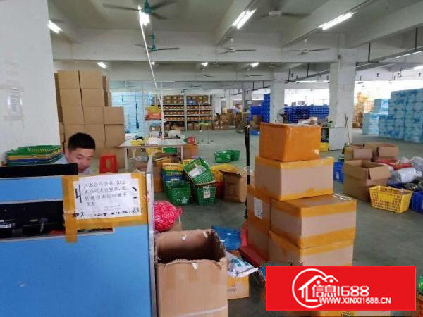 塘厦振兴围新出一楼1050平（原房东直租，还是两年前价格）