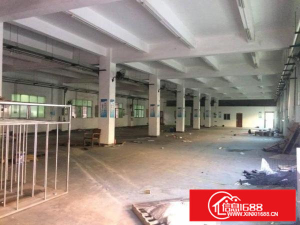 清溪大利管理区刚空出楼上2300平可做电池厂房