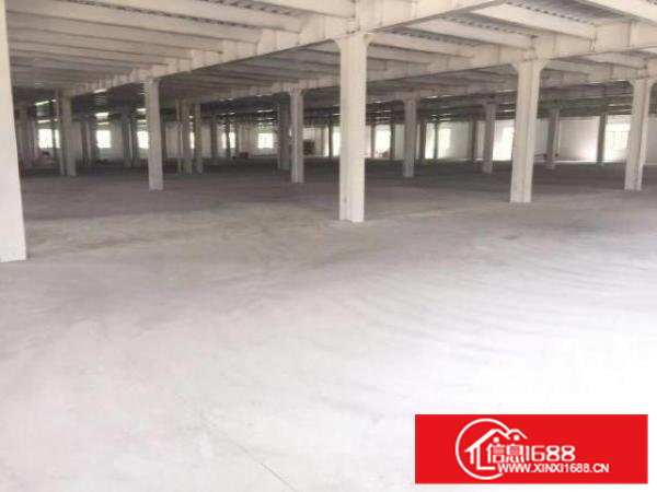 清溪三中新建钢构独院厂房出租