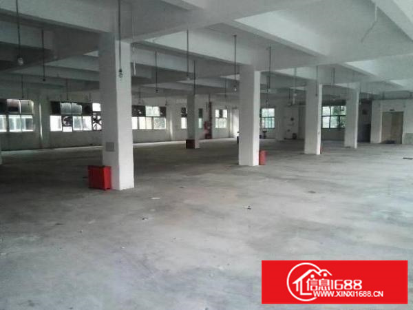 龙岗新生原房东独院厂房5米高一楼660平米