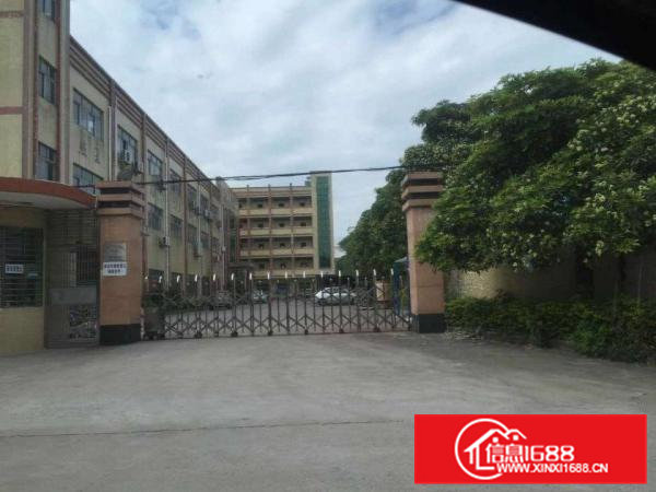 环城路边仓储物流园招租,大型物流场地招租-可托管