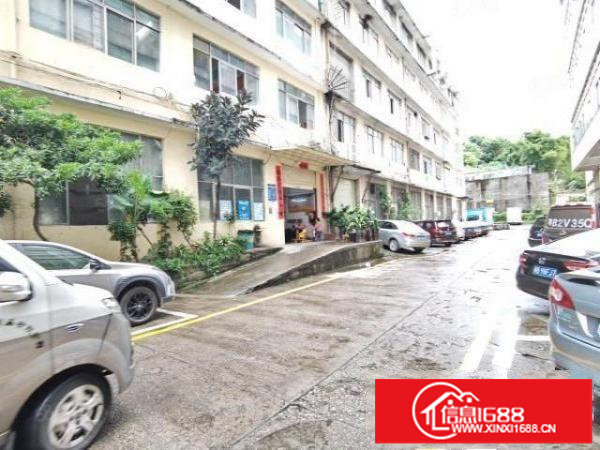 坂田上雪2楼1280平出租，19.5元平，使用率高，行业不限