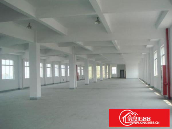 东莞东坑新出原房东独门独院厂房3700平方出租