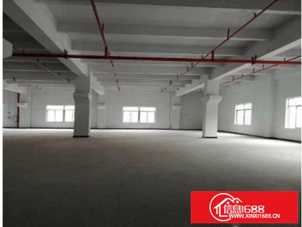 凤岗竹塘新空出一楼2680平带牛角豪华装修