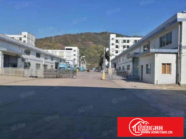 塘厦近清溪新出钢构4500平方，原房东厂房滴水9米中间无柱