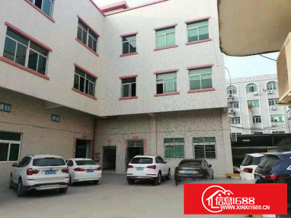 寮步镇新出标准厂房一楼800平方出租