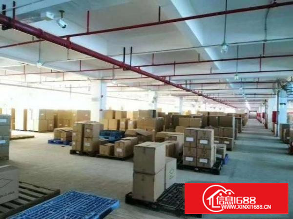 厂房招租，沙井新沙路边原房东厂房楼上两层，实际面积出租。