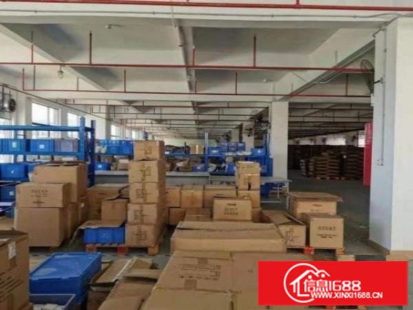 福永新和一楼厂房出租1500平，有房产证，可分租