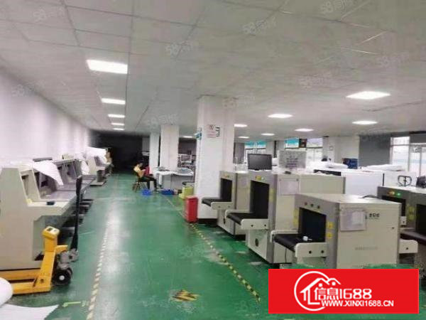 塘厦新出标准厂房1200平米厂房出租