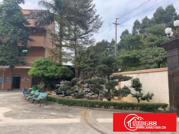 常平镇独院标准厂房出租8000平，原房东，实际面积，靠大朗