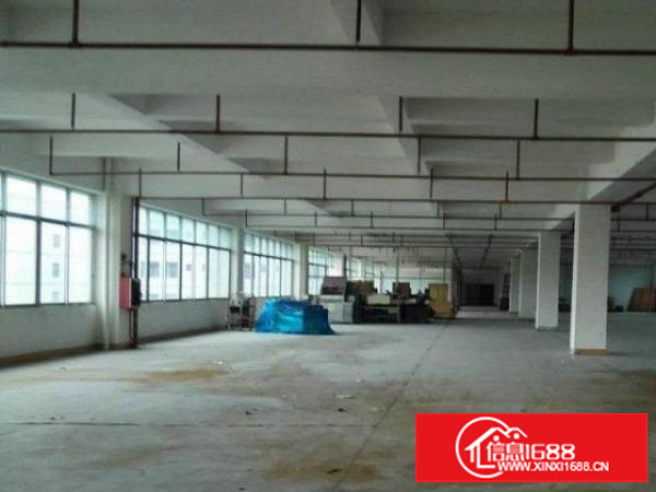 坂田亚洲工业园上240平米电商仓