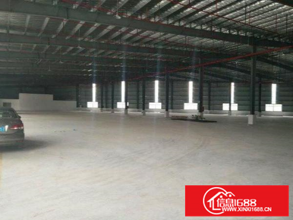 仲恺潼桥22500平钢构厂房出租（丙二类消防喷淋）