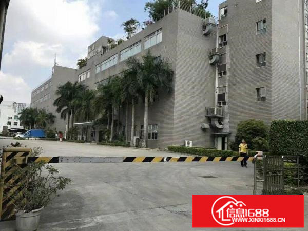 观澜梅观高速出口全新厂房出租，大小可分