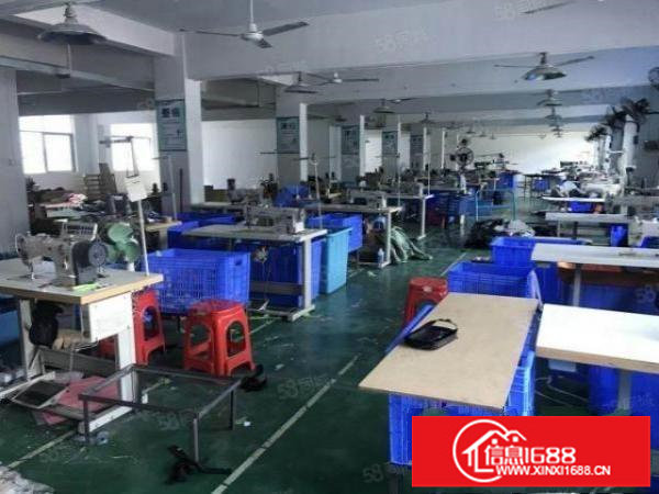 龙岗同乐标准精装修厂房仓库1000平方招租500平方起分