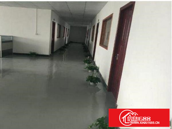 横沥新四一楼750平方二楼1200方标准厂房分租