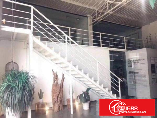 龙岗单一层钢构1200平高7米摄影办公精装修