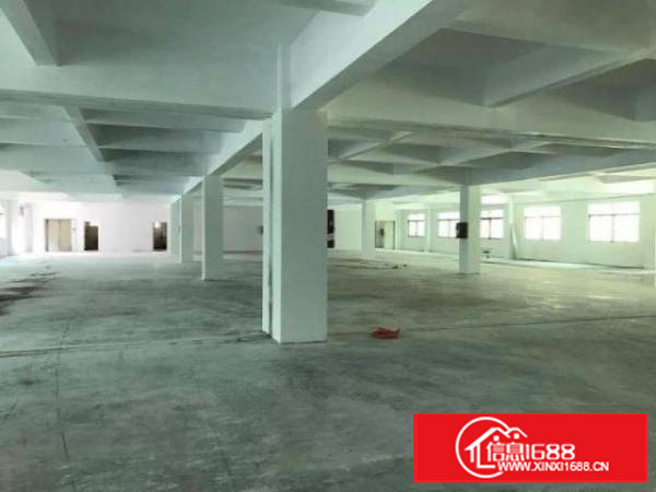 高埗工业区标准一楼1600平方招租水电齐全交通方便适合机械