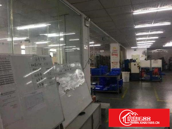 虎门南栅二楼新出一带装修厂房1000平方，无转让费