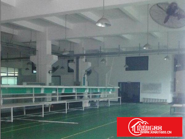 独院2000平米两层厂房分租可整租