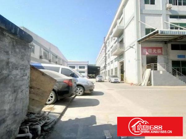 塘厦石潭埔一楼带牛角厂房出租1000平方近东深二线交通便利