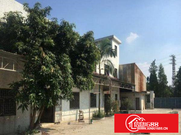 村头200平钢构厂房高8米交能便利