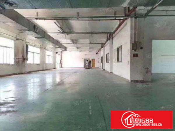 清溪镇原房东独院厂房出租6663平适模具注塑五金设备